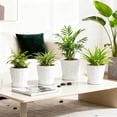 thumbnail image 3 of BUYMAX  Shell-Embossed 5" Ceramic Plant Pots with Drainage, White Indoor Flower Pots,Bathroom Decor,Set of 4, 3 of 6