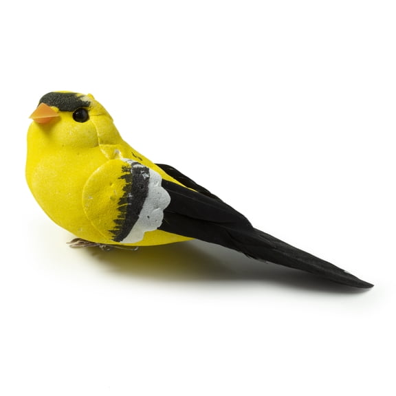 12 Pack: Finch Bird by Ashland