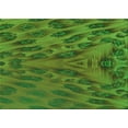 thumbnail image 1 of Ahgly Company Machine Washable Indoor Rectangle Transitional Green Apple Green Area Rugs, 6' x 9', 1 of 7