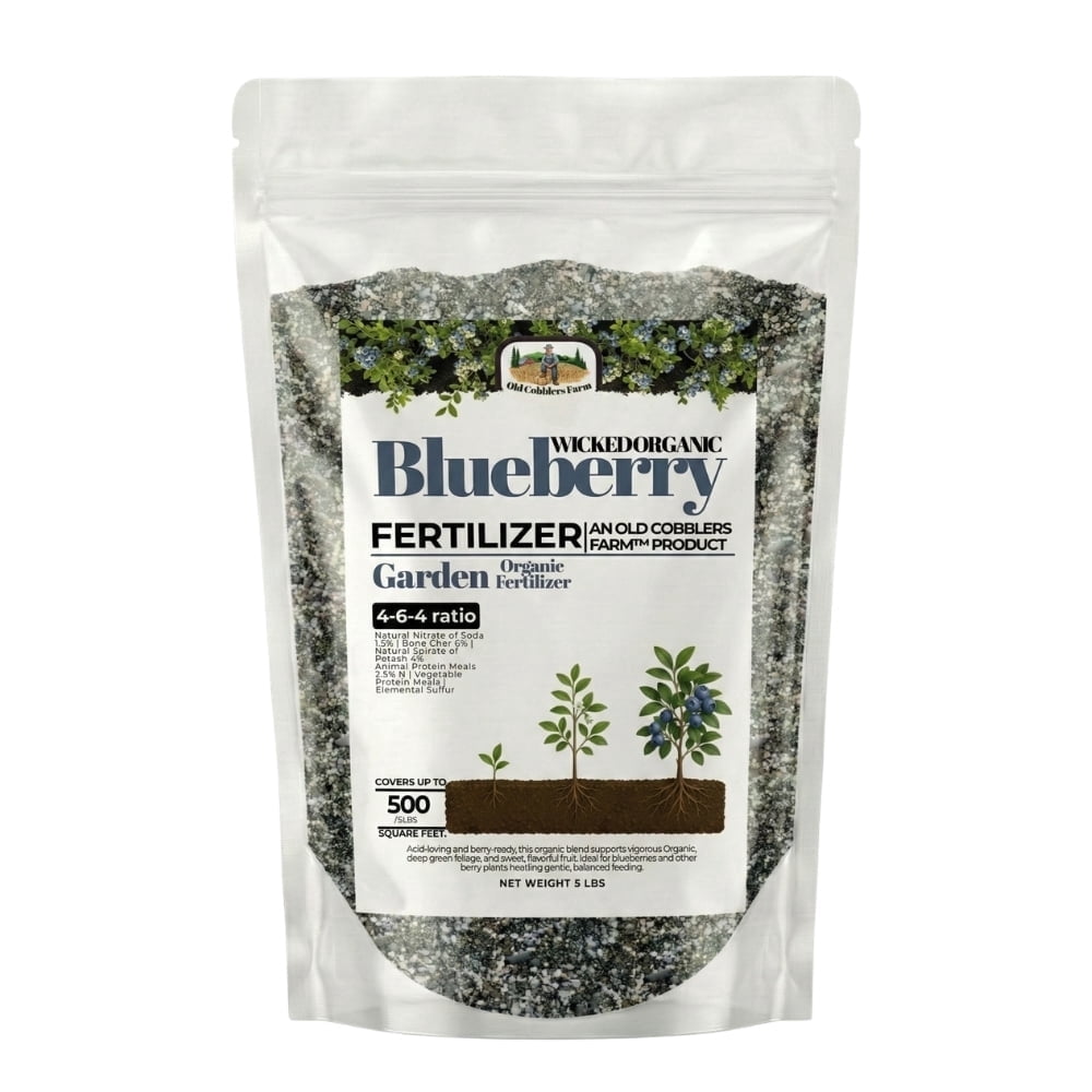white potted plants White Bird of Paradise  Hey Rooted