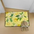 thumbnail image 4 of SKYSONIC Doormat Lemon with Tropical Leaves Flowers Lightweight Non Slip Indoor Outdoor Entryway Rugs Floor Mat for Bathroom Kitchen Entrance 31x20in, 4 of 6