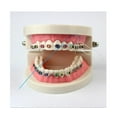thumbnail image 7 of ACDANC 35Pcs Floss,Orthodontic-Friendly Dental Flossers with Nylon Thread,Water Flossers for Teeth, 7 of 7