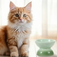 thumbnail image 4 of Baluue Ceramic Bowls for Cats Tilted Antivomit Multi 1Set, 4 of 8