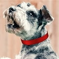 thumbnail image 3 of Dog Collars Strap, Adjustable Classic Dog Collar Strap for All Varieties Small Medium Large Dogs, 3 of 5
