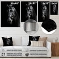 thumbnail image 4 of Designart "Black And White Horse gracefulness" Animals Horse Metal Wall Art, 4 of 5