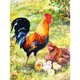 thumbnail image 1 of Diamond Drill Cocks 5D Kits de pintura de bricolaje Decoración de pared redonda completa Arte de diamantes de imitación Hugtrwg Para estrenar, 1 of 2