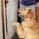 thumbnail image 3 of Campanas para perros para aprender a ir al baño - Campana de trineo de cuero para colgar en la puerta para perros que quieren salir al aire libre Entrenamiento doméstico perfecto para mascotas y, 3 of 8