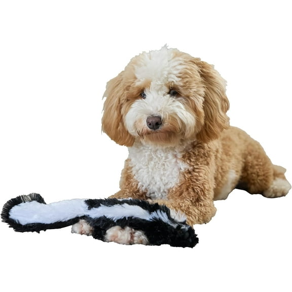 SPOT Skinneeez Skunk Dog Toy – Soft No Stuffing Dog Toy with Squeaker, for Small & Medium Dogs, Best for Light to Moderate Chewers, 14in