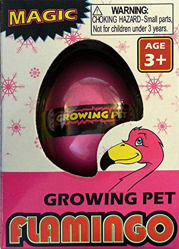 2 HATCHING GROWING FLAMINGO EGGS toy bird novelty egg grow novelty new 