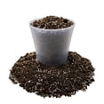 thumbnail image 3 of Gardenera Labs Premium Dahlia Potting Soil Mix - Ideal for Growing Vibrant and Healthy Dahlias - 4 Quart, 3 of 3