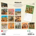 thumbnail image 2 of Meerkats | 2026 12x24" (Hanging) Square Wall Calendar | Plastic-Free | BrownTrout, 2 of 9