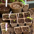 thumbnail image 4 of Ohmyroo 10-Piece Biodegradable Starter Trays Paper Pulp ing Boxes For ling Germination Vegetable and Flower Cultivation, 4 of 6