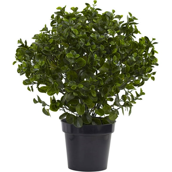 Nearly Natural 28in. Peperomia Artificial Plant UV Resistant (Indoor/Outdoor)