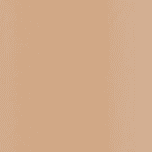 N4 Neutral Light Medium