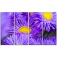 thumbnail image 2 of Bouquet de Grandes Fleurs Violettes, 2 of 3