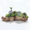 thumbnail image 5 of Pastoral Retro Paisaje Maceta Resina Árbol Tocón Artificial Driftwood Escultura Rústica Suculenta, 5 of 5