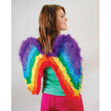 Adult Rainbow Feather Wings Costume My Little Pony Dash Princess Fairy Fantasy