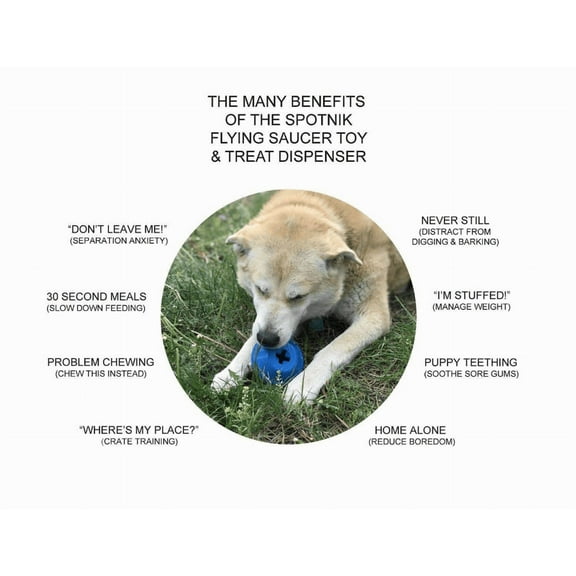 SodaPup - Durable Dog Treat Dispenser & Chew Toy Made in USA from Non-Toxic, Pet-Safe, Food Safe Natural Rubber for Mental Stimulation, Problem Chewing, Calming & More