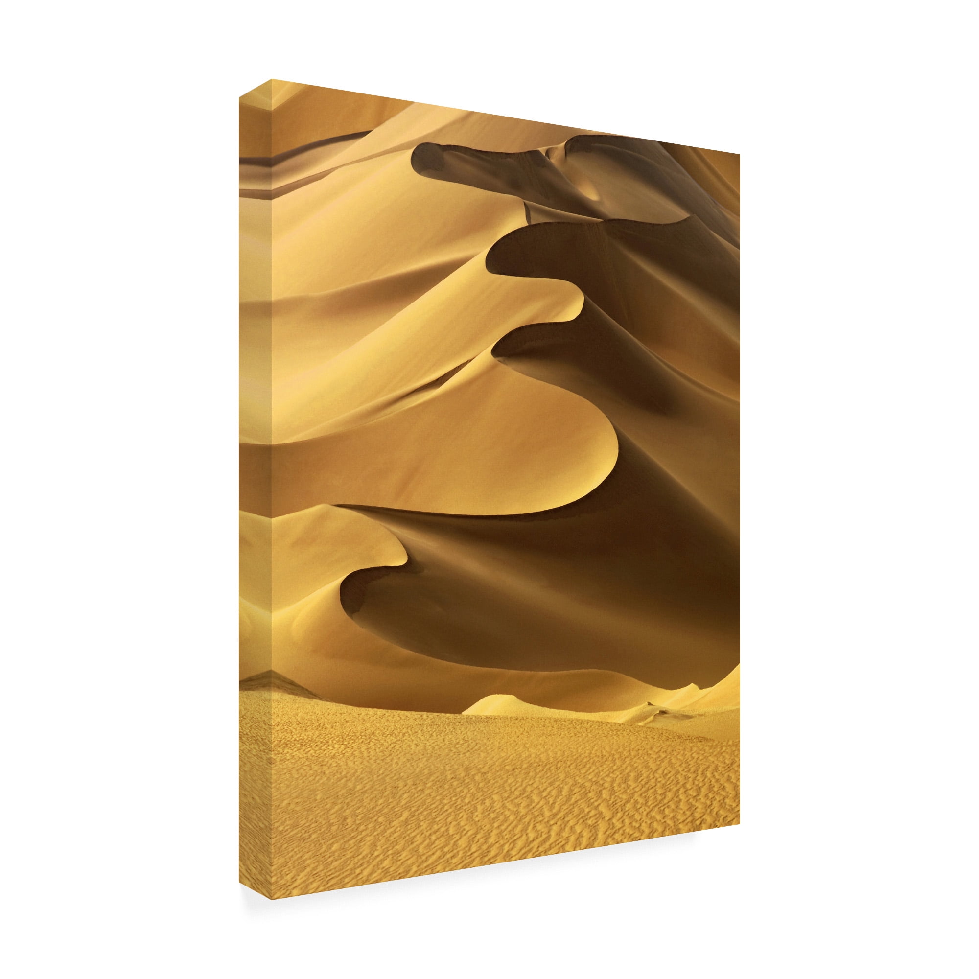 Trademark Fine Art 'In the Dunes 2 Fabrikken' Canvas Art by Design Fabrikken