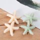 thumbnail image 2 of 2 pinzas para el pelo sencillas con forma de estrella de mar, horquillas de moda para fiestas, accesorios para el cabello (blanco y verde claro), 2 of 5