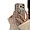 P5, variant on Velvet Little Fragrance Style sub Pattern Phone case, Light Luxury Lady Style, Anti-Drop and wear-Resistant, for iPhone 15 14 13 12 11 Pro Max XS XR X Phone Case (P5,iPhone 13 Pro)
