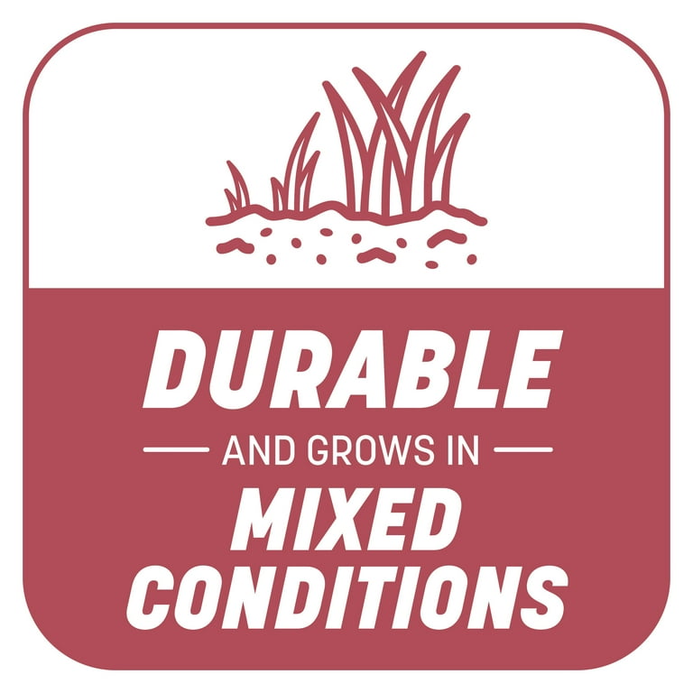 Pennington Smart Patch Zoysia Grass Seed, for Full Sun, 5 lb. New