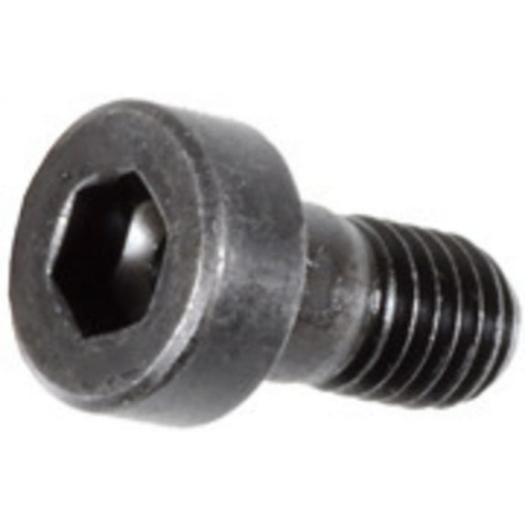 AMZ Clips And Fasteners 10 5-.8 X 10mm Hex Socket Cap Scw Din 6912 Class 8.8