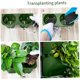 thumbnail image 3 of Maceta de Pared Vertical Jardinera de Pared Jardinera Colgante de Riego Autoposicionada Maceta para Plantas en Maceta para Jardín Interior Arte de Pared Exterior Decoración Ecológica, 3 of 5