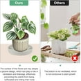thumbnail image 7 of Plant Saucer Plastic Plant Tray Tutuviw 2 Pcs 10 in Durable Drip Water Tray Sturdy Pot Tray Flower Pot Container Accessories Plant Pot Saucers for Indoor and Outdoor, Cream, 7 of 7