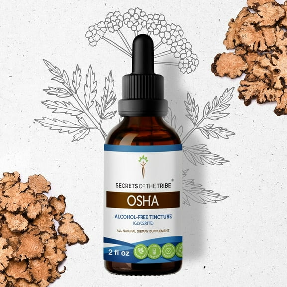 Secrets Of The Tribe Osha Tincture Dietary Supplement, Natural Herbal Extract for Respiratory Support, Osha (Ligusticum porteri) Dried Root, Alcohol-Free Extract, Drops 2 oz