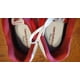 thumbnail image 5 of NEW BALANCE Men's Red & White CLASSIC RUNNING SNEAKERS NWOB Size 16 or 17, 5 of 6