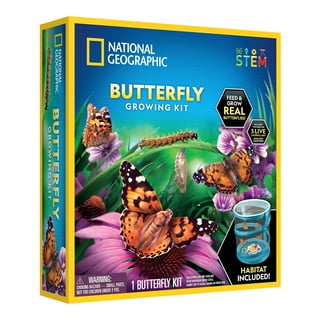 Butterfly Kits