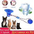 thumbnail image 3 of Dogs Molar Bite Toy Ropes Dog Tooth Cleaning Chewing Dog Toys Pet Interactive Suct Push Ball Toys, 3 of 5