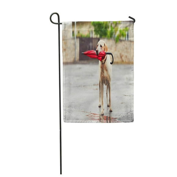 POGLIP Obedient Dog in Rainy Day Adorable Labrador Retriever is Holding Garden Flag Decorative Flag House Banner 28x40 inch