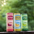 thumbnail image 5 of Deep Eddy Vodka, 6 Pack 355 ml Cans, 5% ABV, 5 of 8