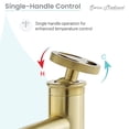 thumbnail image 6 of Avallon Single Hole, Single-Handle Wheel, Bathroom Faucet in Brushed Gold, 6 of 11