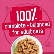Purina Friskies Surfin and Turfin Variety Pack, Wet Cat Food, 5.5 oz Cans