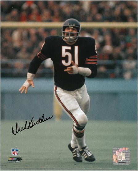 DICK BUTKUS  ALL TIME GREAT BEARS LEGEND IN THIS CLASSIC COLOR 8X10 