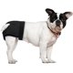 thumbnail image 3 of Pañales reutilizables para mascotas, pantalones menstruales transpirables elásticos, cintura ajustable, pantalones fisiológicos de tía, bragas de malla, pantalones lavables suaves y livianos, M: 35-4 TUNC Sencillez, 3 of 5
