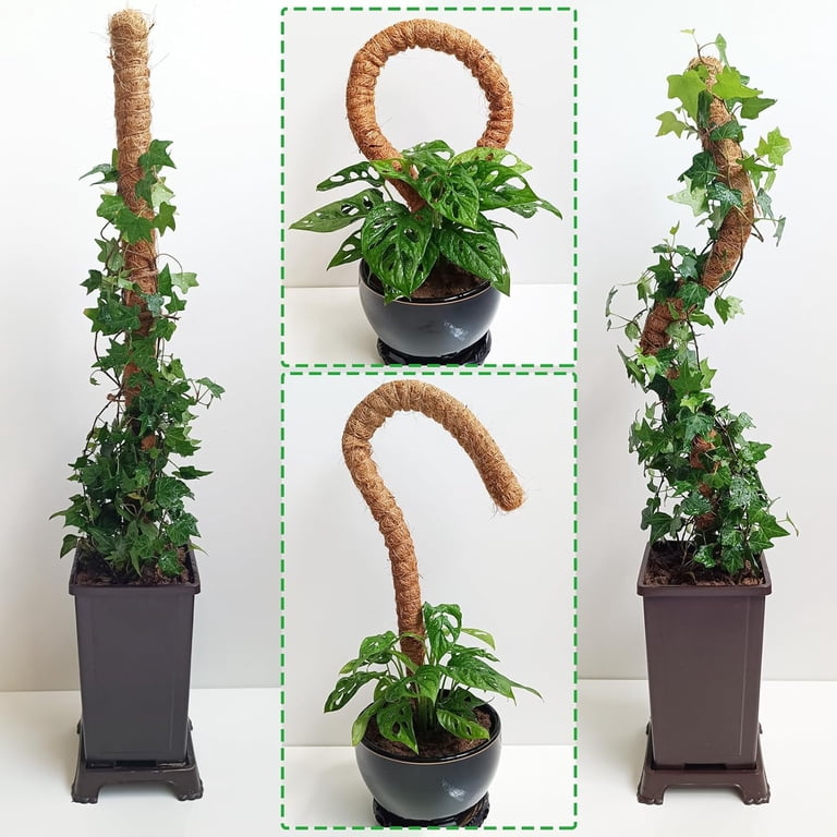 Debonair 2 Pack 25 Inch Bendable Moss Pole, Coco Coir Plant Support for  Monstera, Pothos, Indoor Vines - Walmart.com