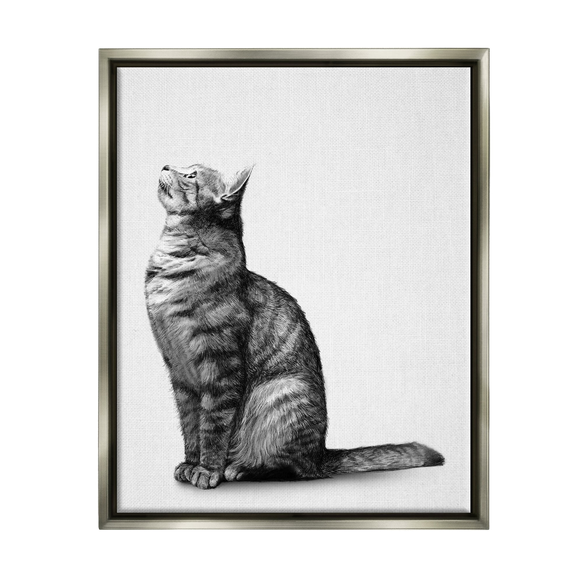Stupell Industries Manx Cat Sitting Calmly Detailed Casual Portrait Graphic Art Luster Gray Floating Framed Canvas Print Wall Art, Design by Ziwei Li