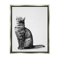 thumbnail image 3 of Stupell Industries Manx Cat Sitting Calmly Detailed Casual Portrait Graphic Art Luster Gray Floating Framed Canvas Print Wall Art, Design by Ziwei Li, 3 of 5