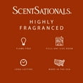 thumbnail image 2 of Pumpkin Spice Scented Wax Melts, ScentSationals, 2.5 oz (1-Pack), 2 of 4
