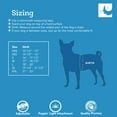 thumbnail image 3 of Arnés para perros RC Pet Products Step in Cirque XX-Small, rojo, 3 of 7