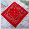 thumbnail image 2 of Diadema Bandana de Doble Cara Zulema Hairarap 55x55cm Algodón Paisley Negro Blanco Vino Café Gris, 2 of 8