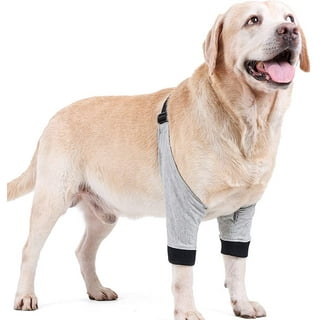 Dog Front Leg Sleeve Prevent Licking Warm and Protects Helps Prevent  Sprains