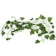 thumbnail image 3 of 2X 2M Plantas Artificiales Largas Hojas de Hiedra Verde Vid de Uva Artificial Hoja Falsa de Partenciscisus, Decoracion de Casa Boda Y Bar, Seccion de Enredadera, 3 of 5