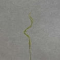thumbnail image 4 of 1 Pc, 31 Inch Curly Willow Twig Spray w/3 Branches For Floral Arrangement & Home Decor - Green, 4 of 5