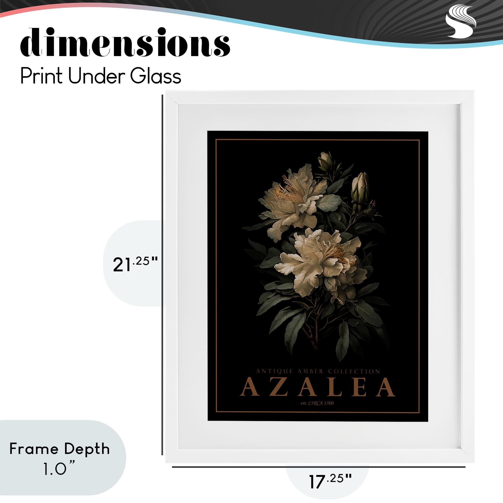 Stupell Industries Antique Azalea Bushel White Framed Print Under Glass, design by Christopher Giampietro