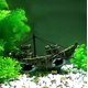 thumbnail image 5 of Paisaje de Acuario de Resina Rojo Verde Barco Pirata, 5 of 5